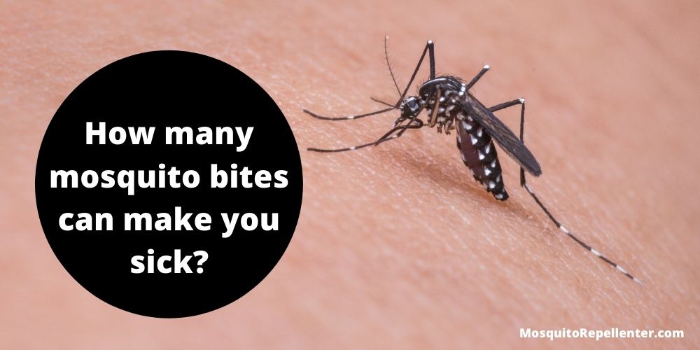 How many mosquito bites can make you sick