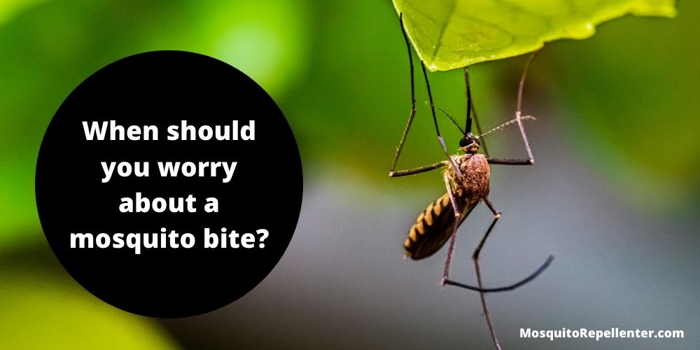 When should you worry about a mosquito bite